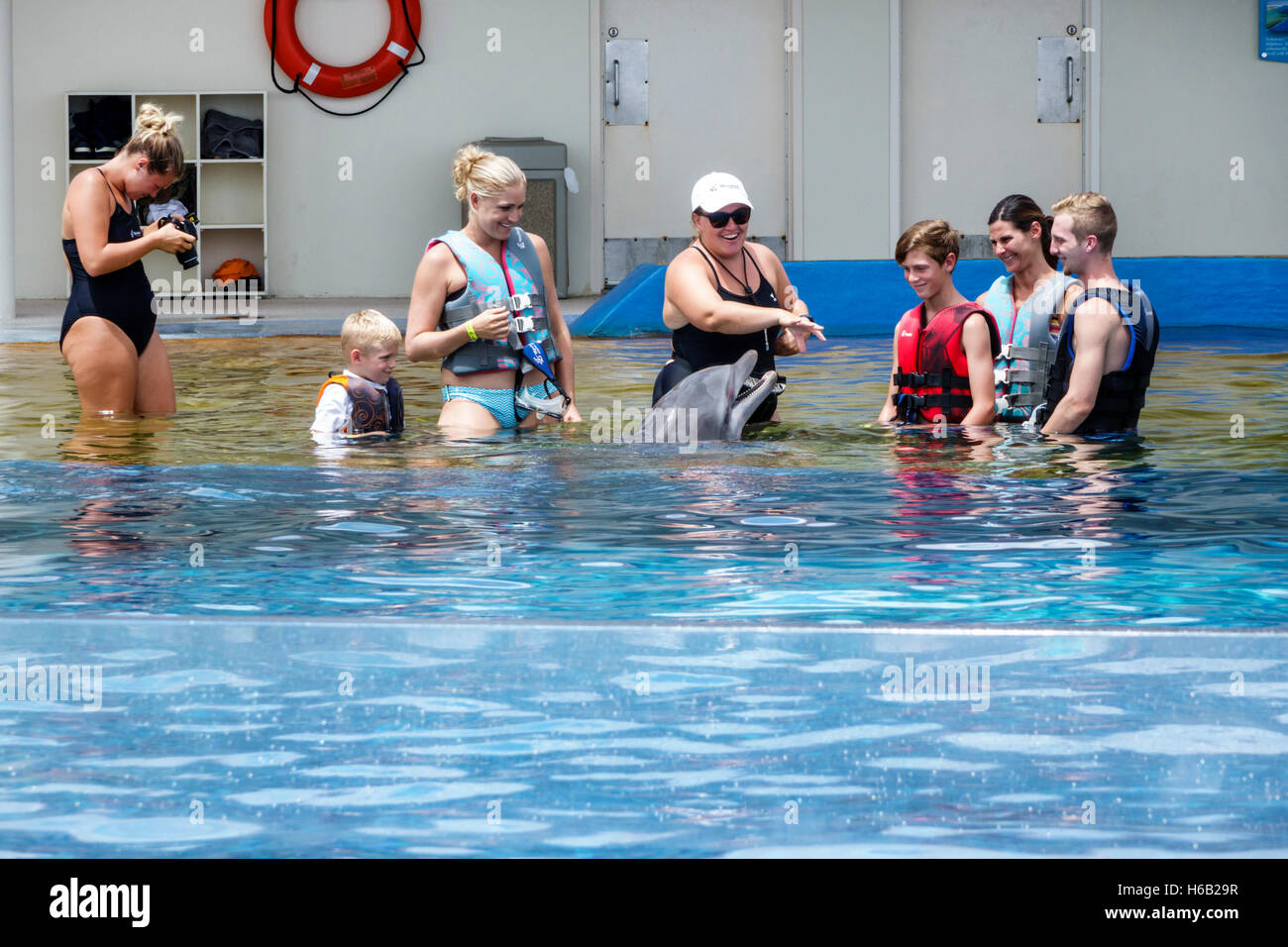 St. Saint Augustine Florida, Marineland Dolphin Adventure, Ocean Mammal Theme Park, Oceanarium, Forschungs-Bildungszentrum, Zentrum, Delphin Begegnung, Familie Stockfoto