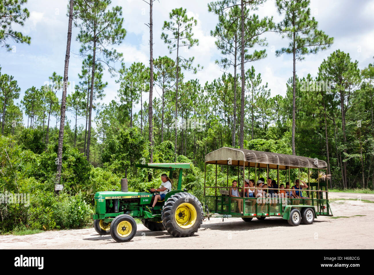 Florida Palm Coast, Florida Agricultural Museum, lebendes Geschichtsmuseum, Bauernhof Gehöft, Traktorfahrt, FL160804025 Stockfoto