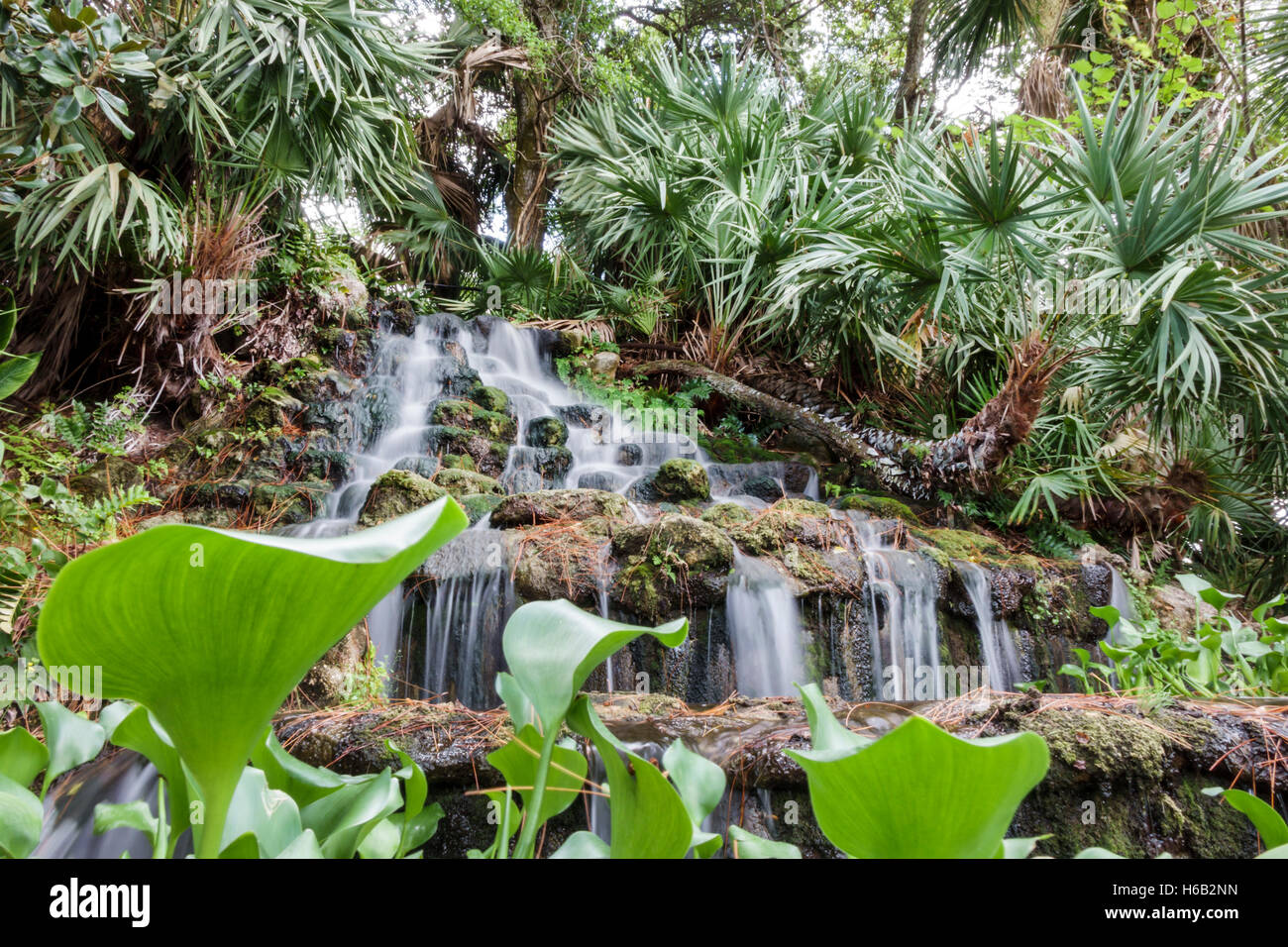 Florida Ormond Beach, Ormond Memorial Art Museum & Gardens, künstlicher Wasserfall, FL160805009 Stockfoto