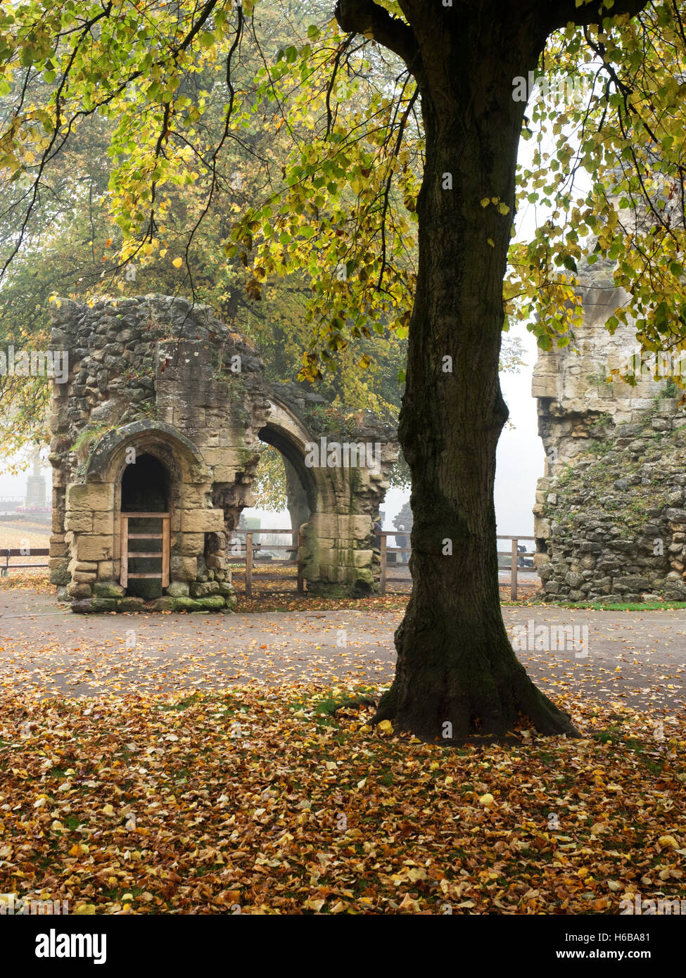 Herbstliche Bäume von den Kings Tower in Knaresborough Schloß Gelände Knaresborough North Yorkshire England Stockfoto