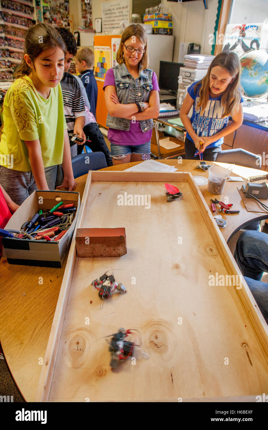 Begeisterte multirassische Grundschüler in Mission Viejo, Kalifornien, zeigen Klasse-Projekt Roboter auf einer Tischplatte. Stockfoto