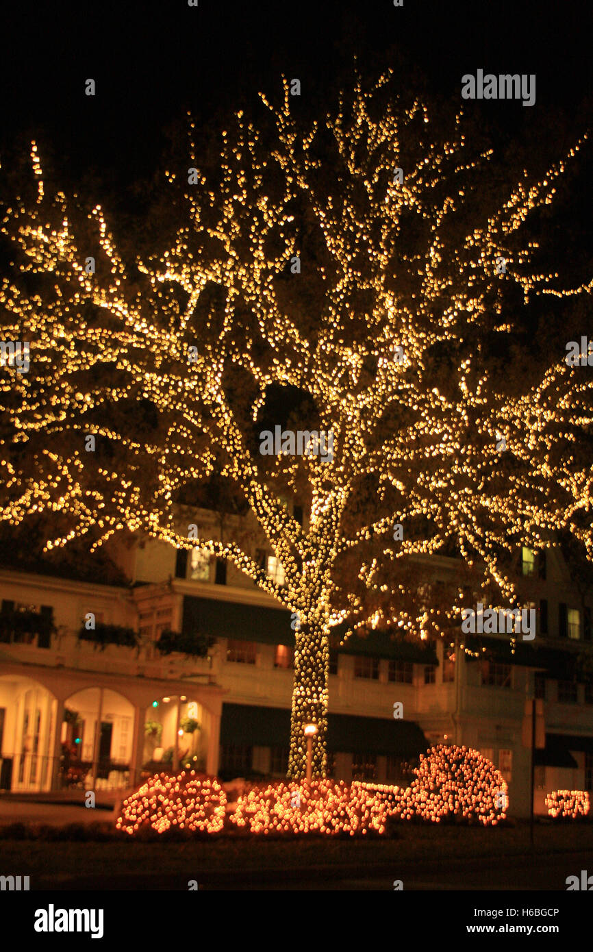großer Baum direkt vor Hotel, beleuchtet für Weihnachten Stockfotografie -  Alamy