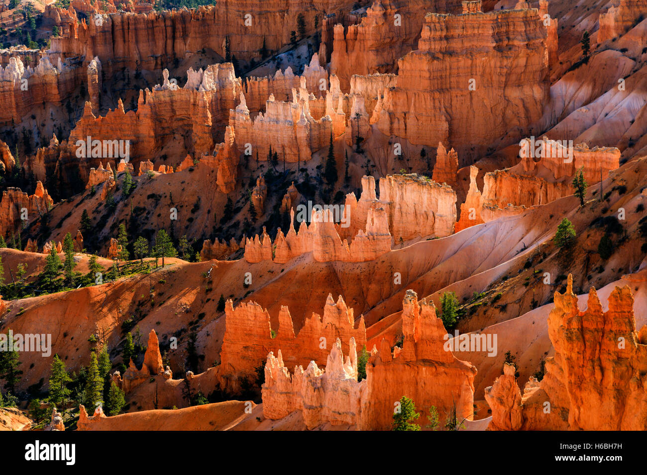 Die roten Felsen (und weißen Rock) Formationen entlang der Queens Garden Trail in Bryce Canyon Nationalpark Utah USA Leuchten Stockfoto