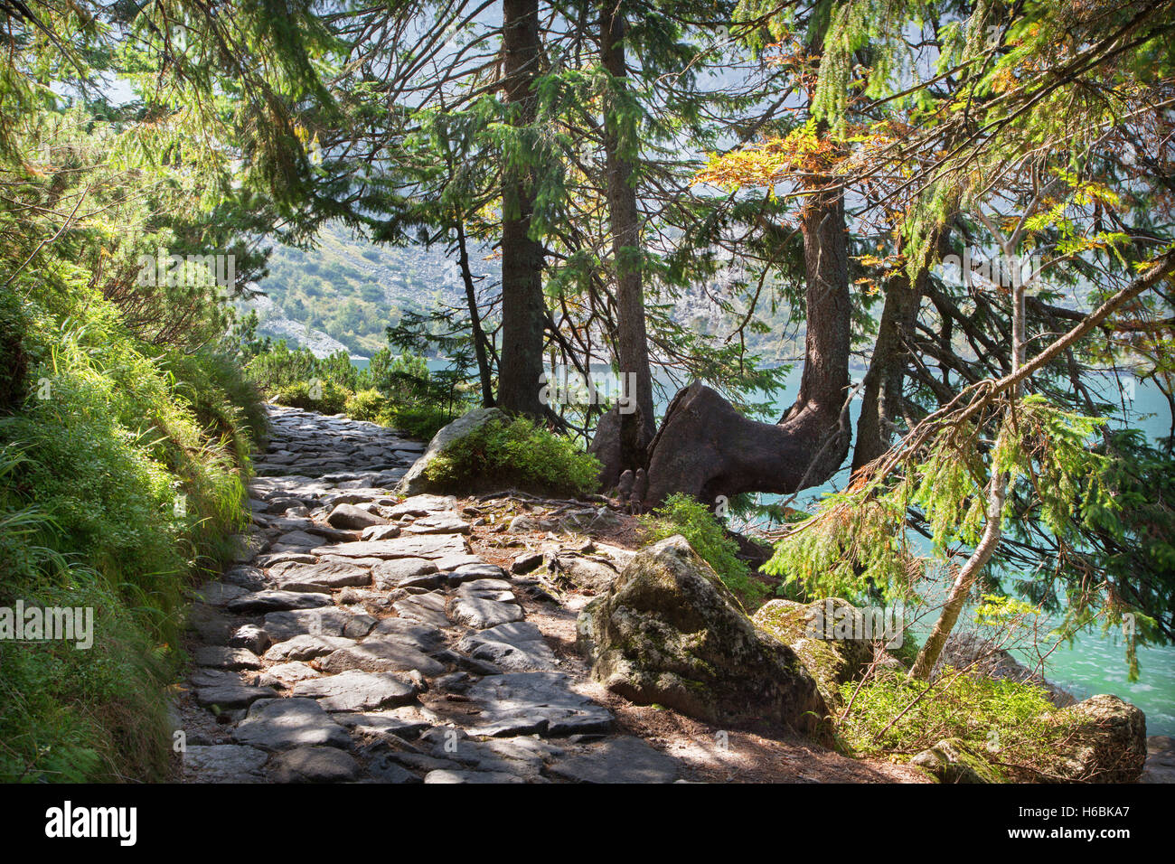 Hohe Tatra - Tourist genau umgekehrt der See Morskie Oko Stockfoto