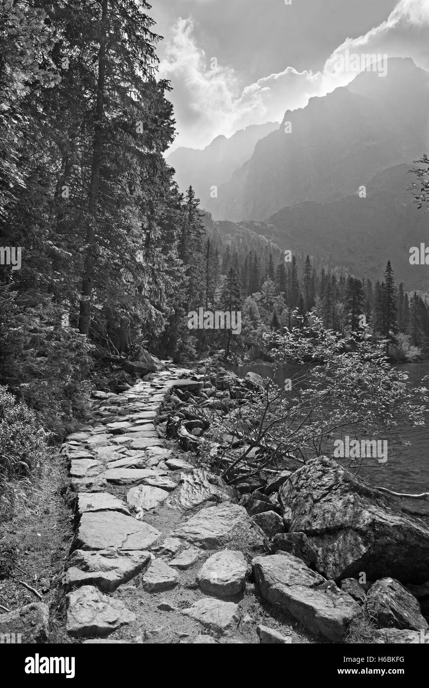 Hohe Tatra - Tourist genau umgekehrt der See Morskie Oko Stockfoto