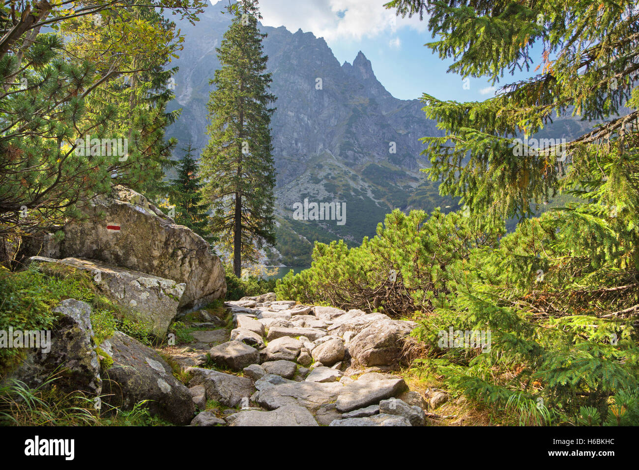 Hohe Tatra - Tourist genau umgekehrt der See Morskie Oko Stockfoto