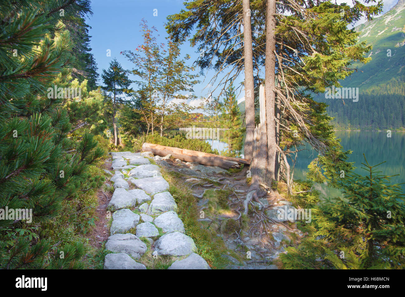 Hohe Tatra - Tourist genau umgekehrt der See Morskie Oko Stockfoto