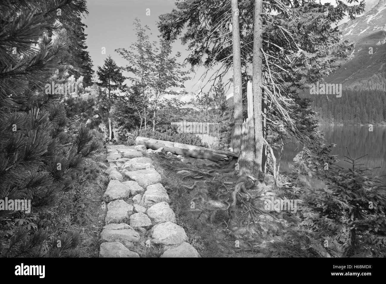 Hohe Tatra - Tourist genau umgekehrt der See Morskie Oko Stockfoto