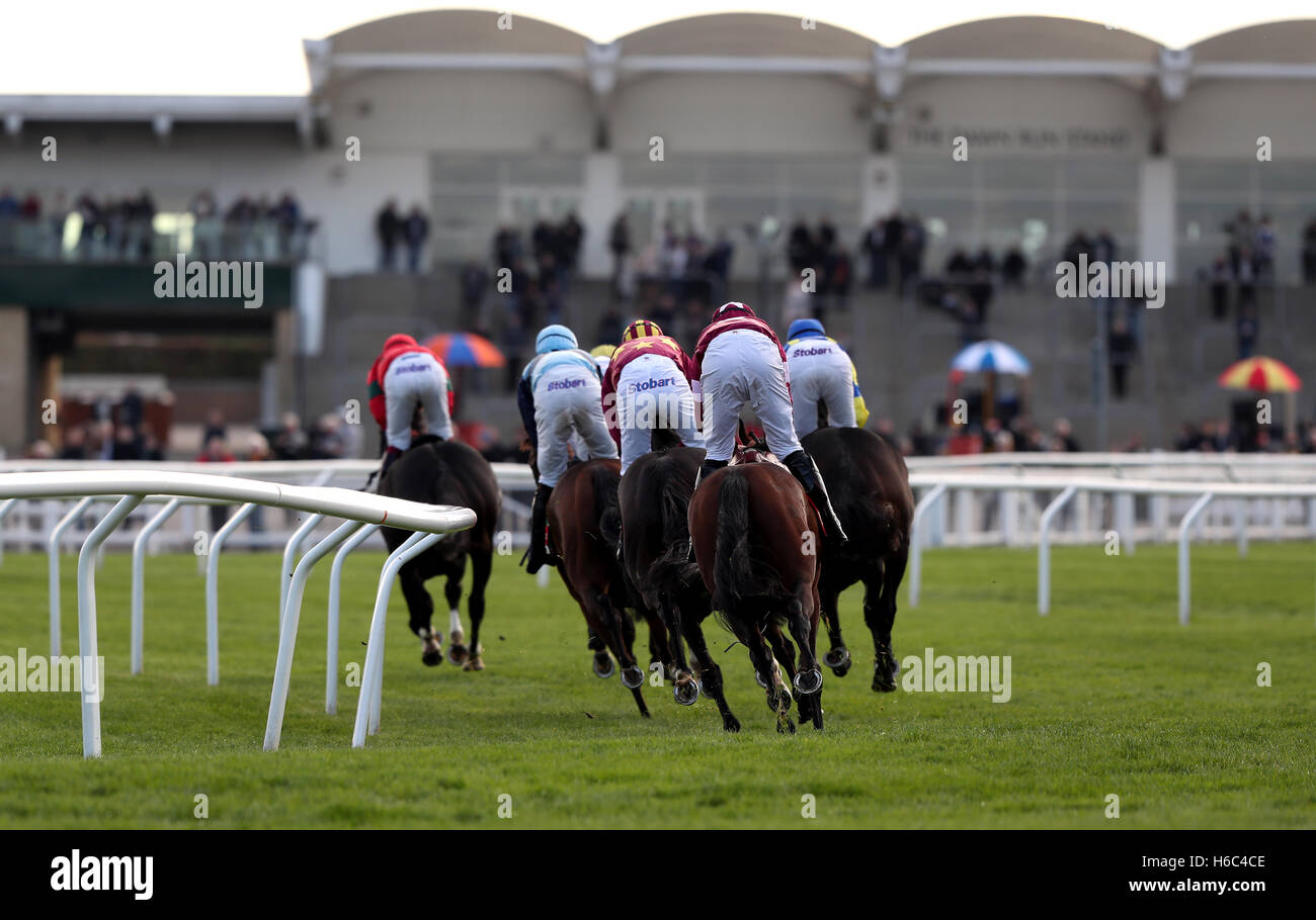 Läufer und Reiter während der Ryman Briefpapier Cheltenham Business Club Novizinnen Chase am ersten Tag des The Showcase in Cheltenham Racecourse. Stockfoto