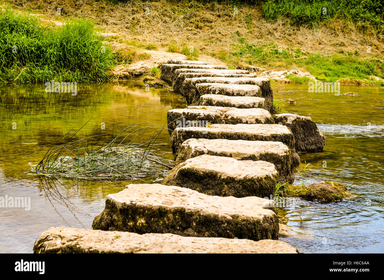 Trittsteine überqueren einen kleinen Fluss im Sommer Stockfoto