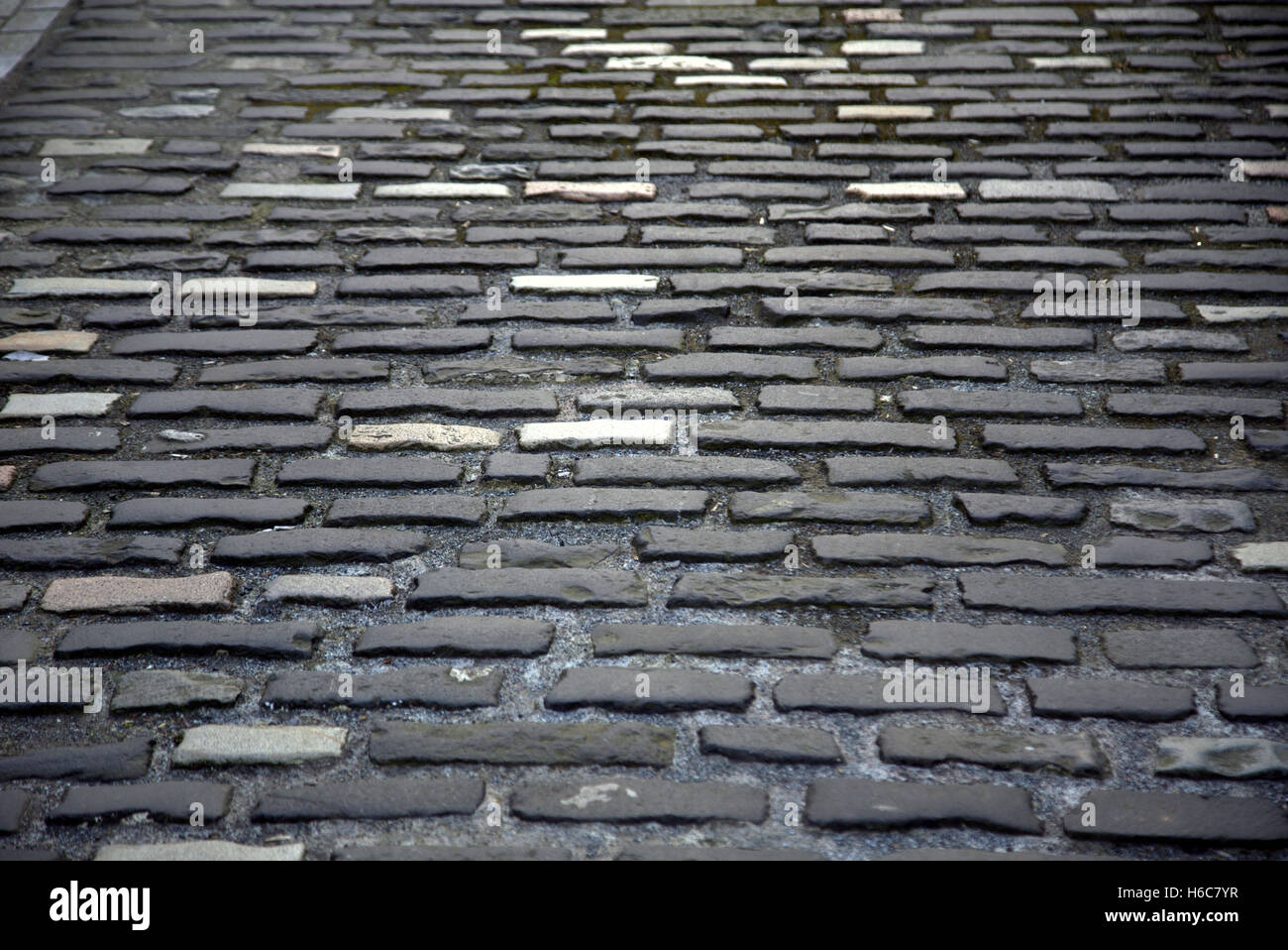 perfekte Strecke von Pflastersteinen Glasgow in Schottland Stockfoto