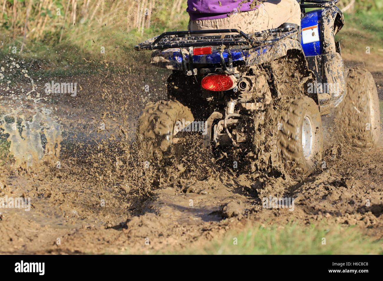 Quad-Bike fahren auf schlammigen Bauernhof Spur, England, UK Stockfoto