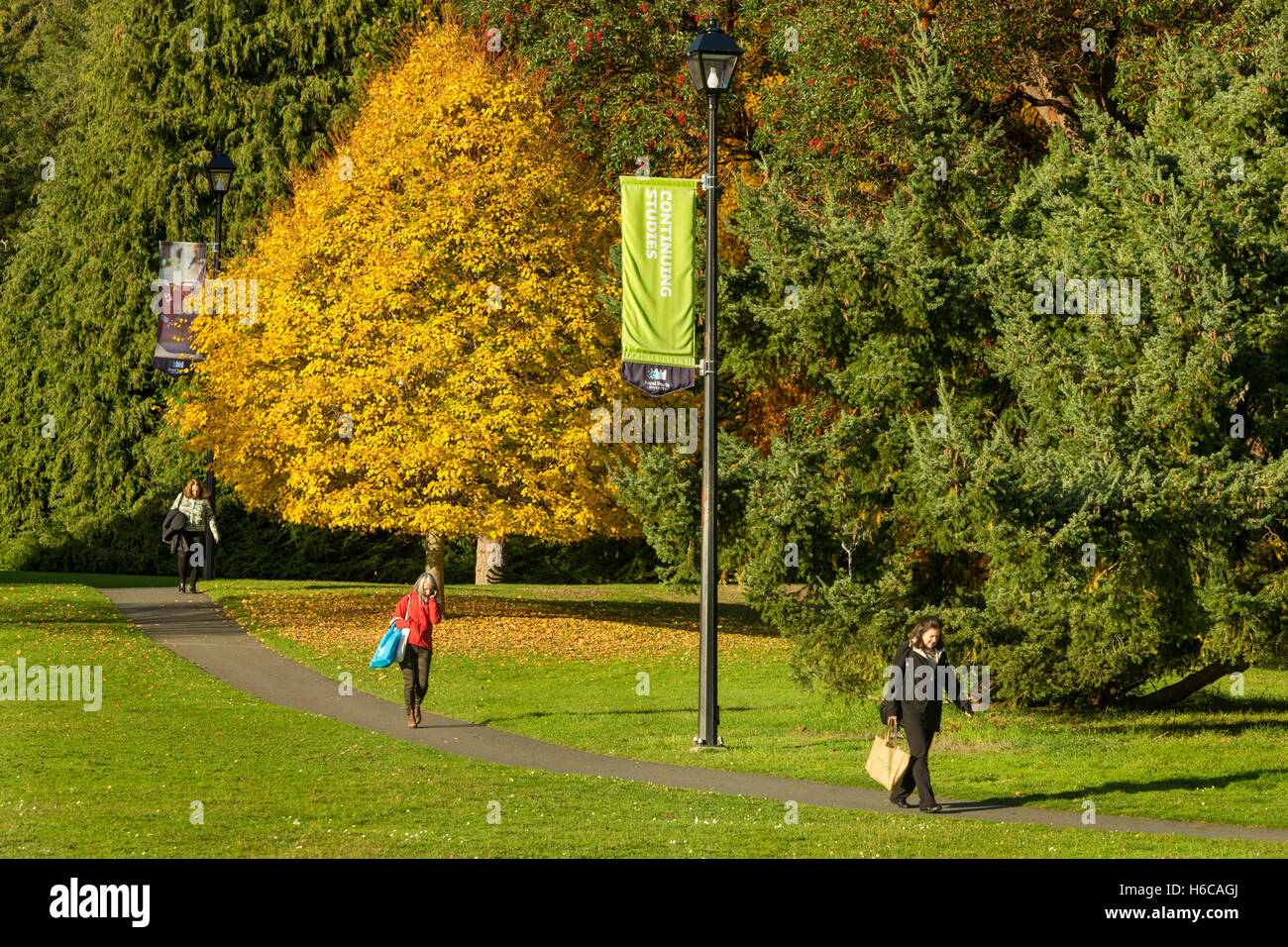Frauen gehen auf Hatley Schlossgelände an königliche Straßen Universität mit Bäumen im Herbst Laub-Victoria, British Columbia, kann Stockfoto