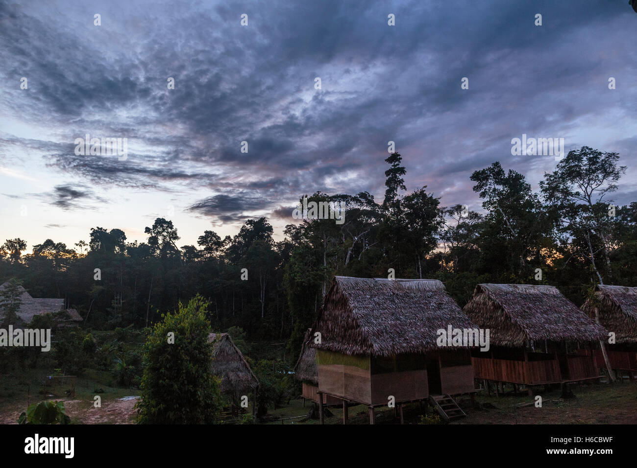 Ein Ayahuasca Medizin Healing Center im peruanischen Amazonas-Regenwald in der Abenddämmerung in einem Dschungel clearing bestehend aus tambos Stockfoto