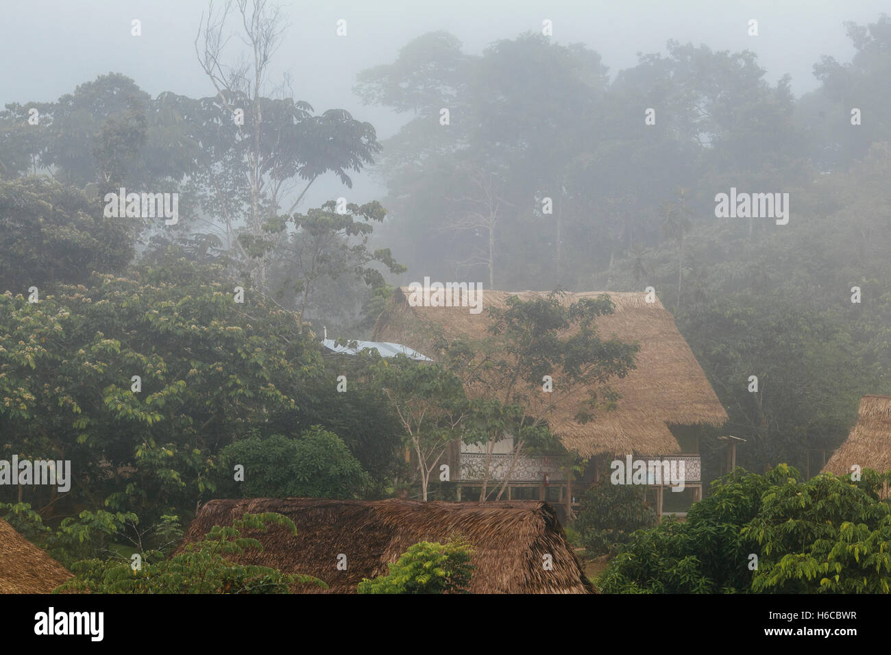 Palm reetgedeckten Tambos auf Stelzen Surround eine Medizin Ayahuasca Healing Center im peruanischen Amazonas-Regenwald in der Nähe von Iquitos Stockfoto