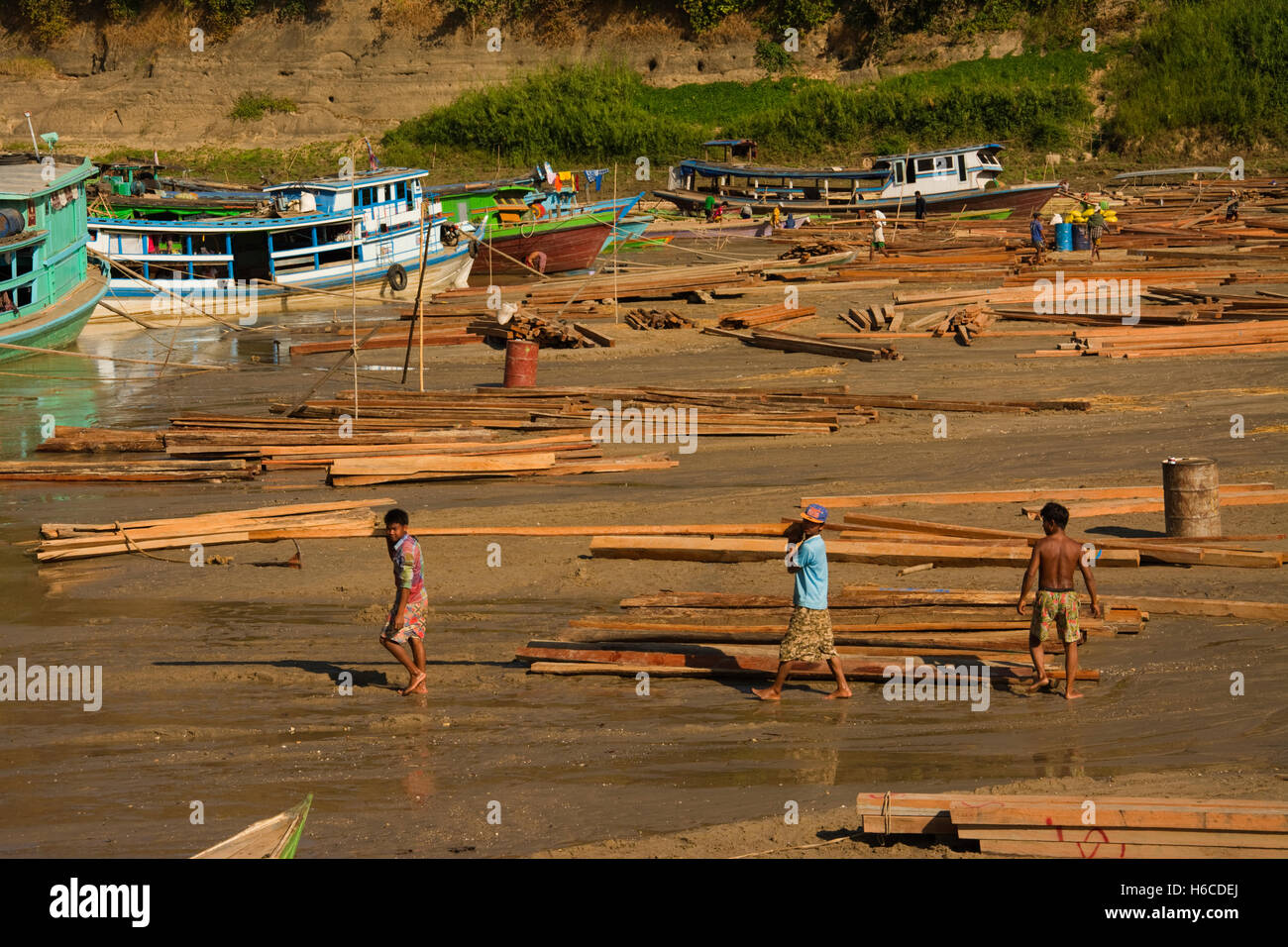 Asien, MYANMAR (BURMA), Sagaing Division, Kalywa, Chindwin Fluss, Sin Kaung Dorf, Strand mit hartem Holz aufgestapelt für den Verkauf Stockfoto