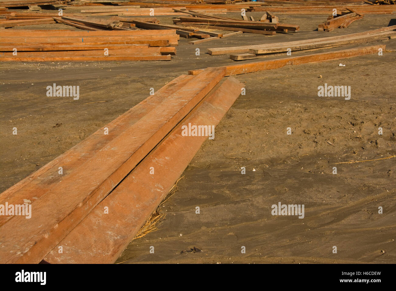 Asien, MYANMAR (BURMA), Sagaing Division, Kalywa, Chindwin Fluss, Sin Kaung Dorf, Strand mit hartem Holz aufgestapelt für den Verkauf Stockfoto