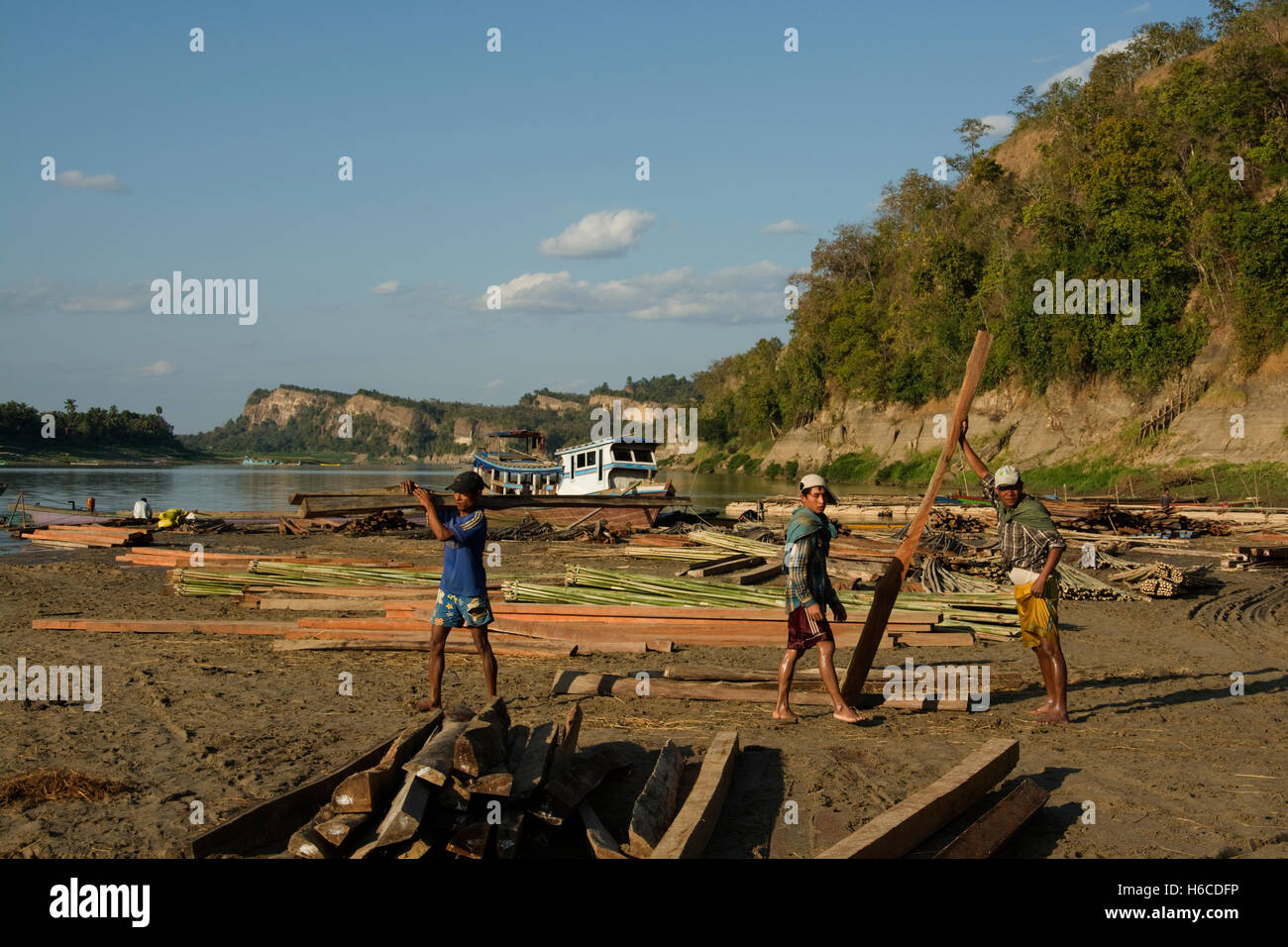 Asien, MYANMAR (BURMA), Sagaing Division, Kalywa, Chindwin Fluss, Sin Kaung Dorf, Strand mit hartem Holz aufgestapelt für den Verkauf Stockfoto