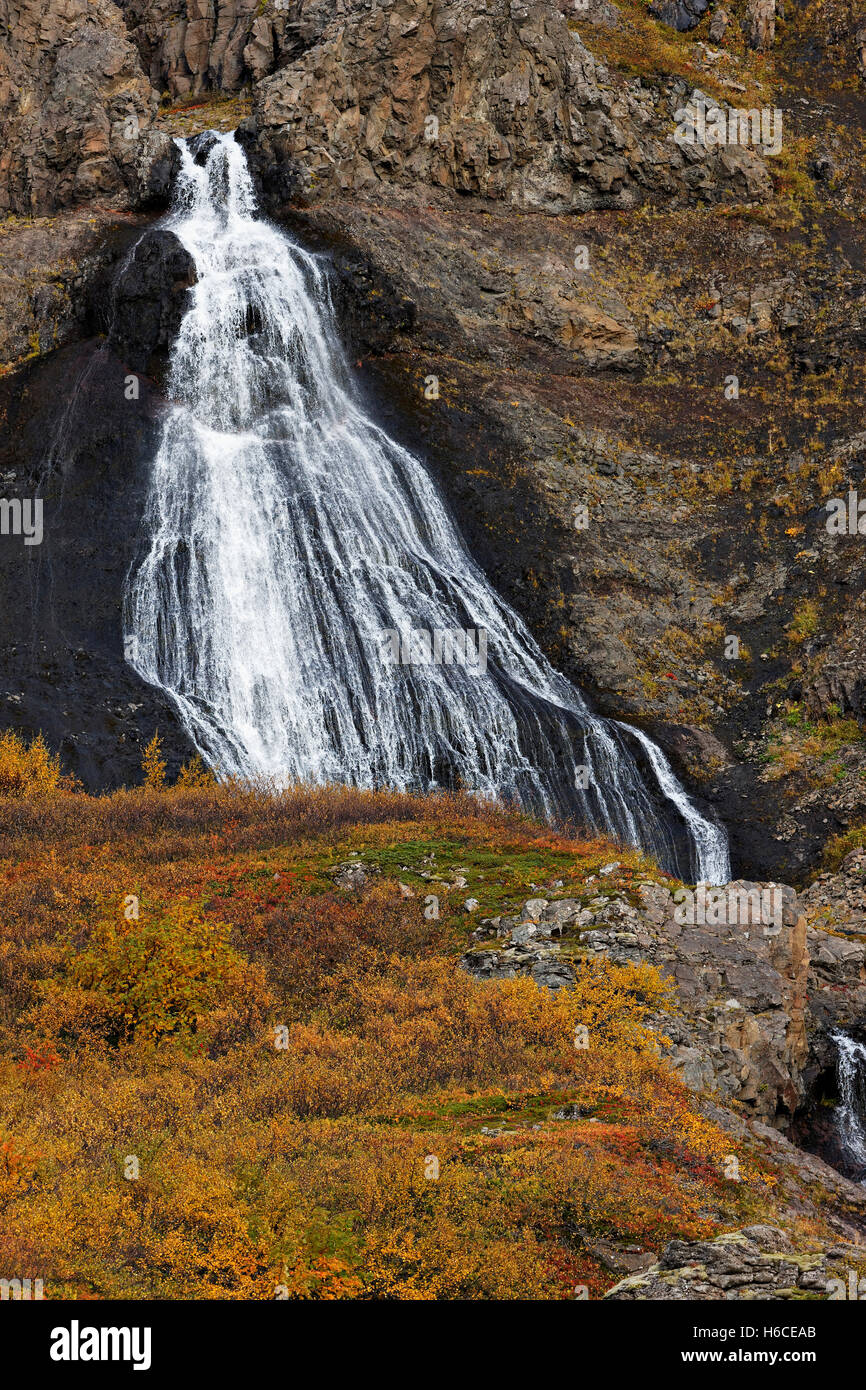 Wasserfall, Westfjörds, Island, Nordatlantik, Europa Stockfoto