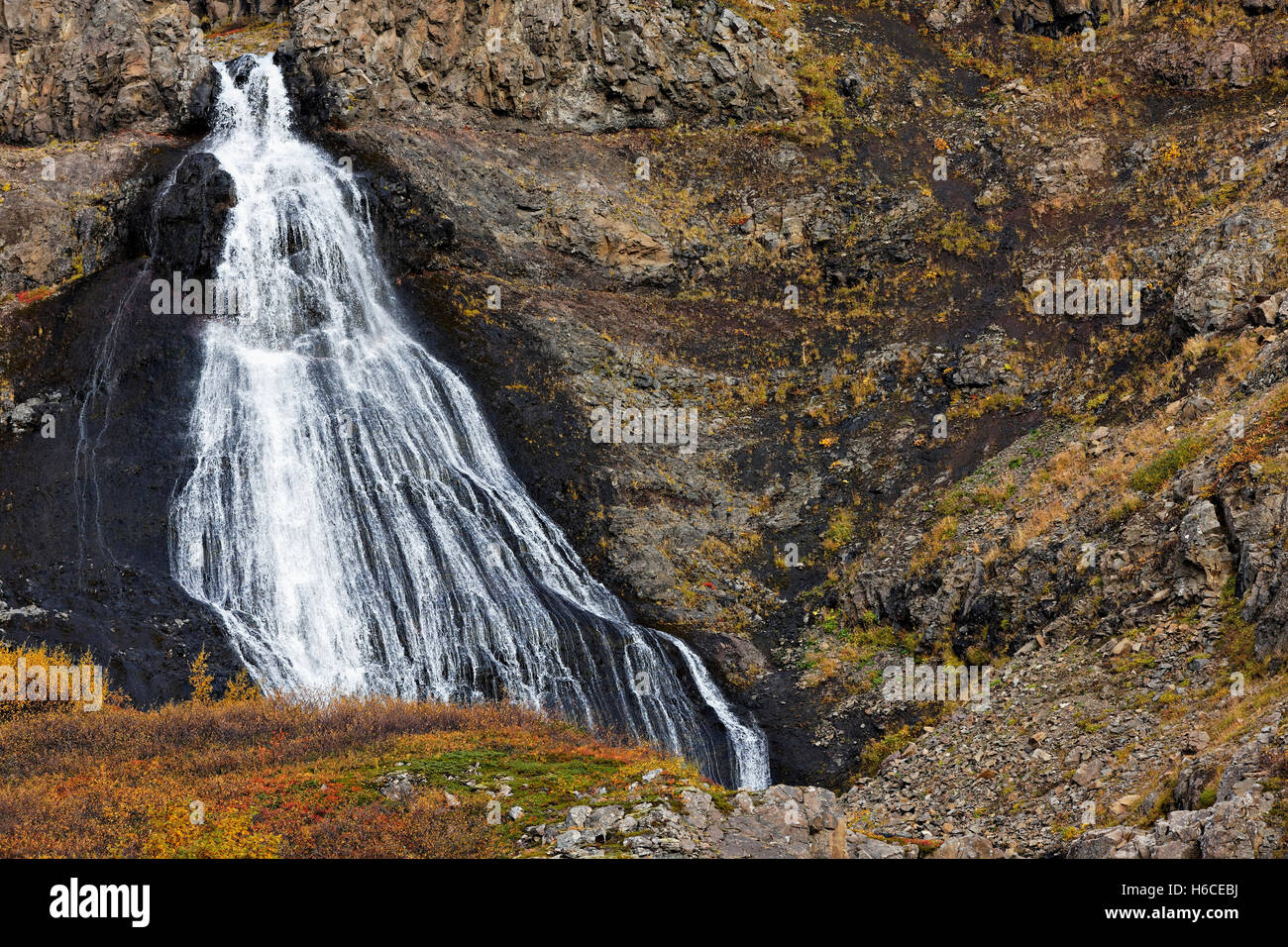 Wasserfall, Westfjörds, Island, Nordatlantik, Europa Stockfoto