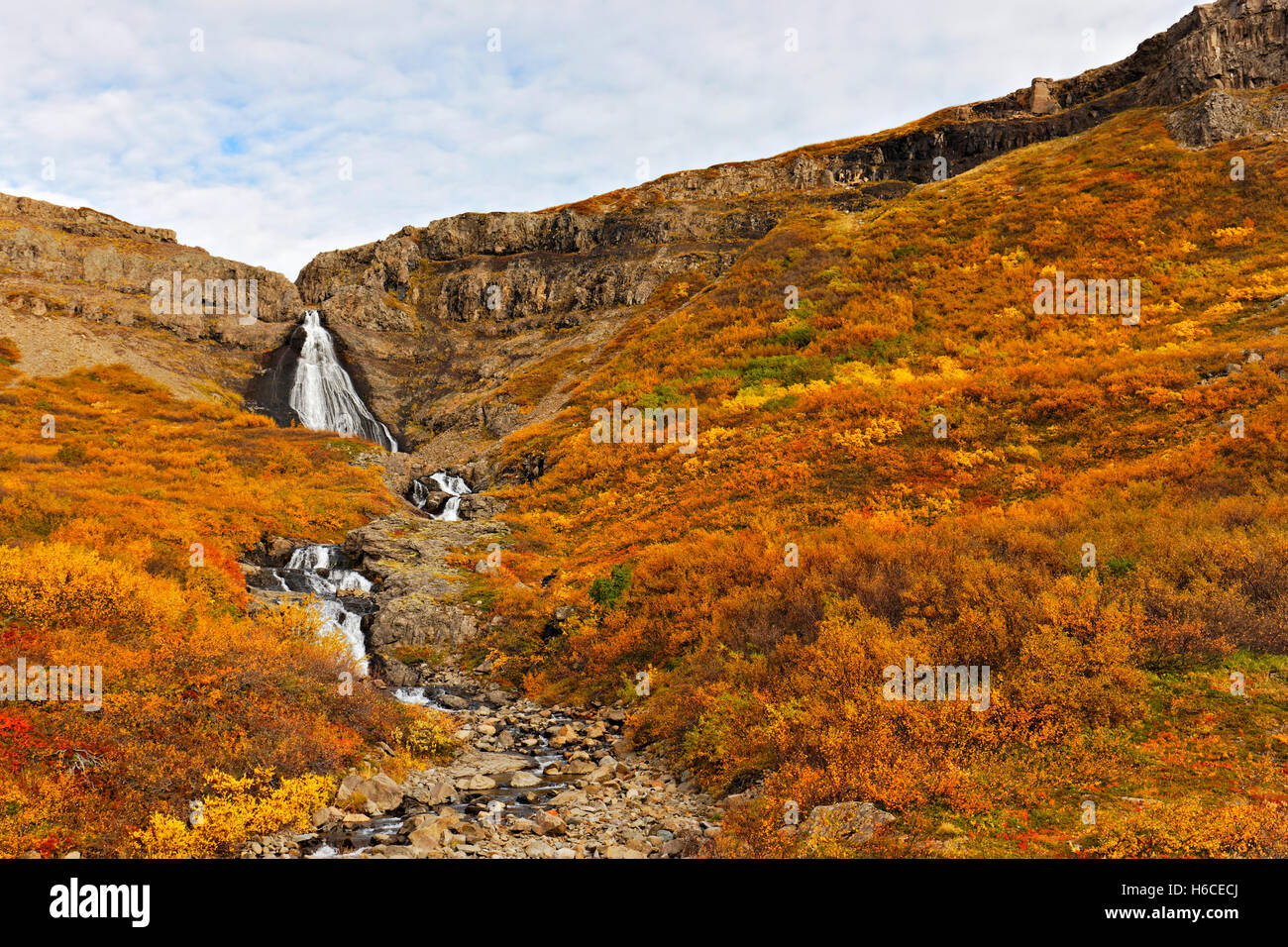 Wasserfall, Westfjörds, Island, Nordatlantik, Europa Stockfoto