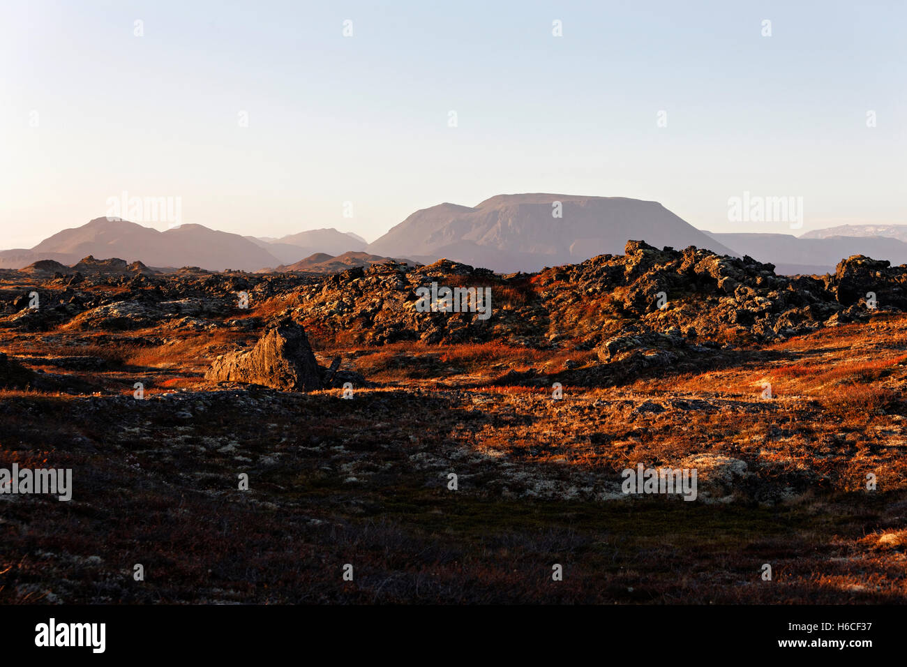 Vulkanlandschaft, Nordosten Islands, Nordatlantik, Europa Stockfoto