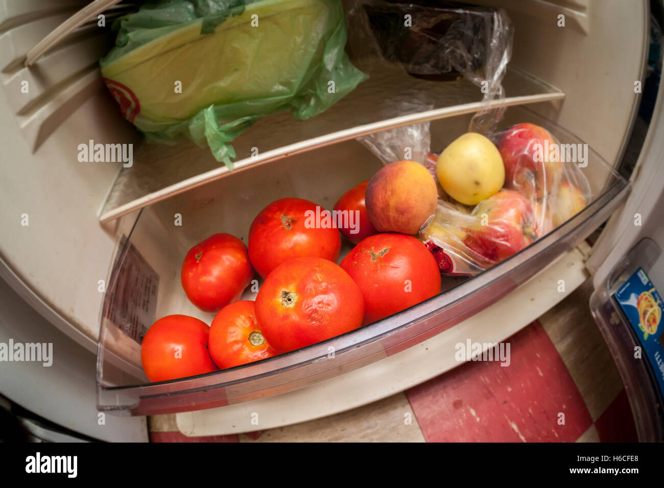 Tomaten im Kühlschrank in New York auf Mittwoch, 19. Oktober 2016  gespeichert. Eine Studie von der University of Florida gefunden, dass das  alte Sprichwort halten Ihre Tomaten aus dem Kühlschrank richtig ist.