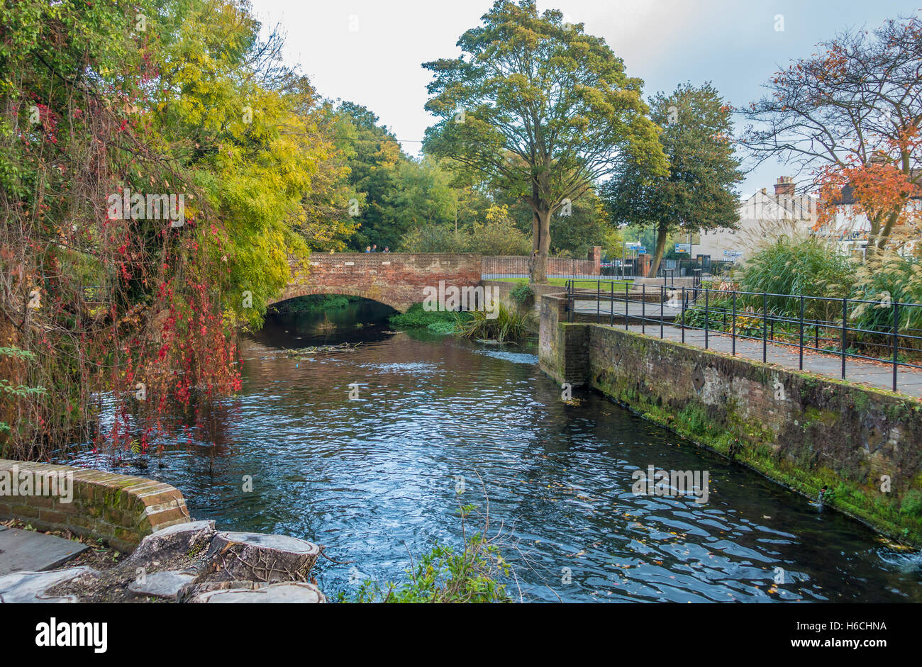 Fluss Stour fließt durch Canterbury an St Radigunds Canterbury Kent England Stockfoto