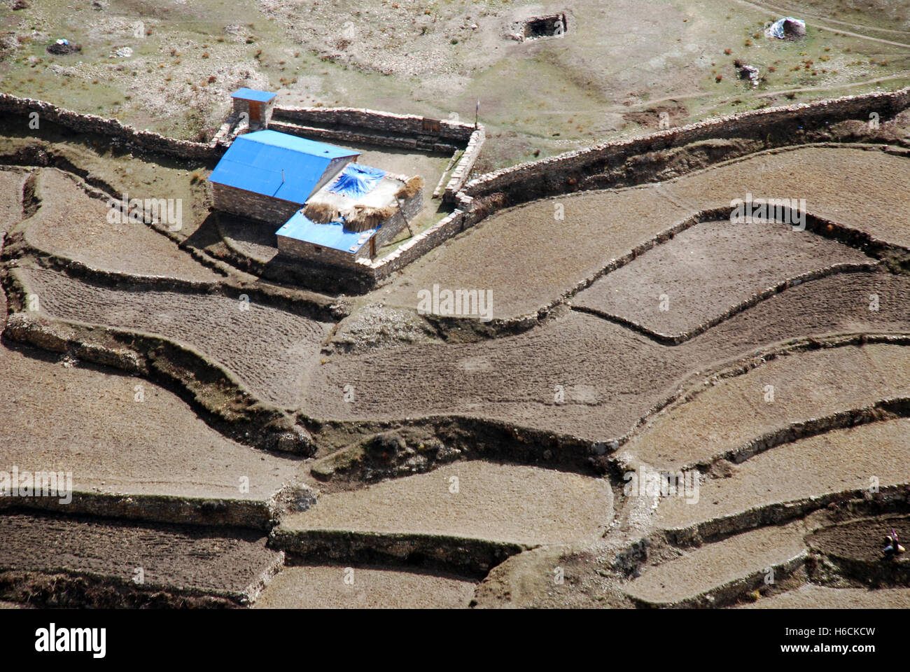 Felder in der Mustang-Region von Nepal in der Nähe des Dorfes Naar Stockfoto