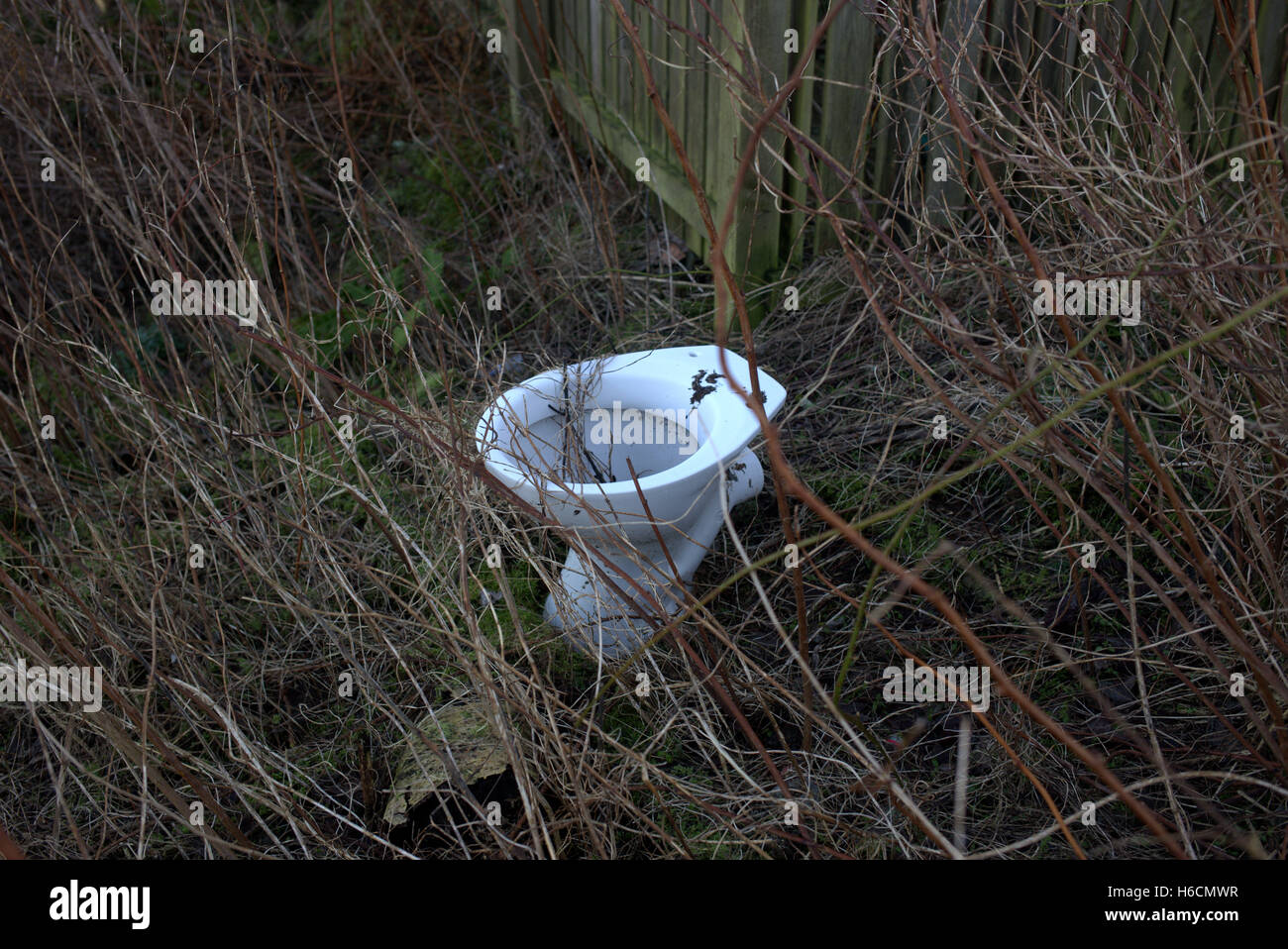 lustiges Bild Außentoilette Stockfoto