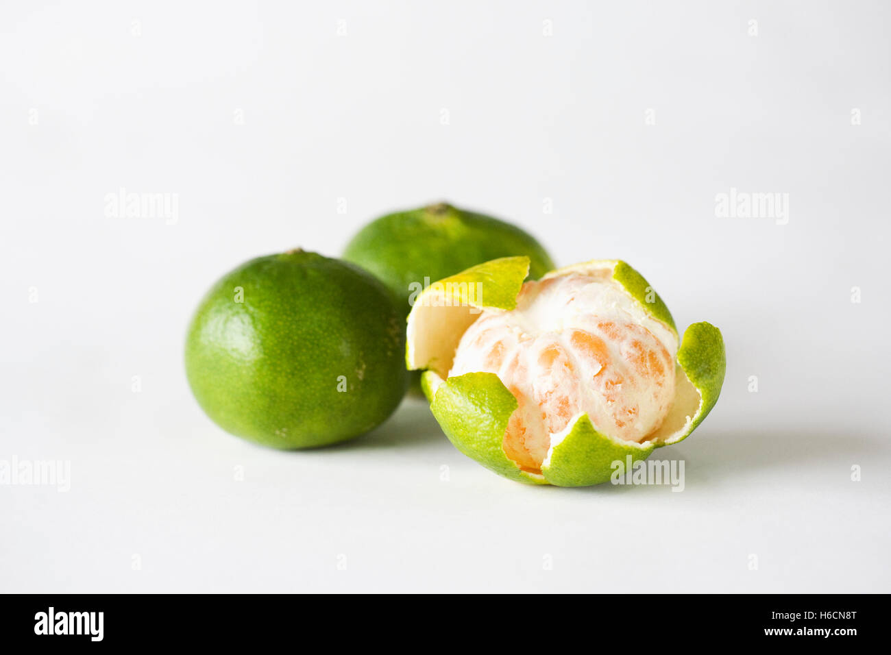 Miyagawa Satsumas. Stockfoto