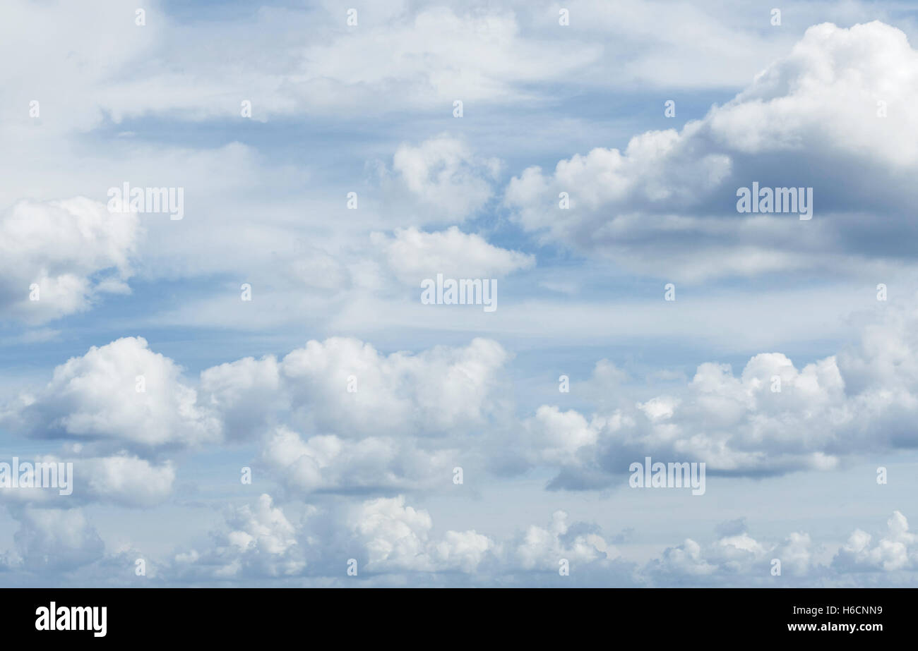 Viele weiße flauschige Wolken über einem tiefblauen Himmel Stockfoto