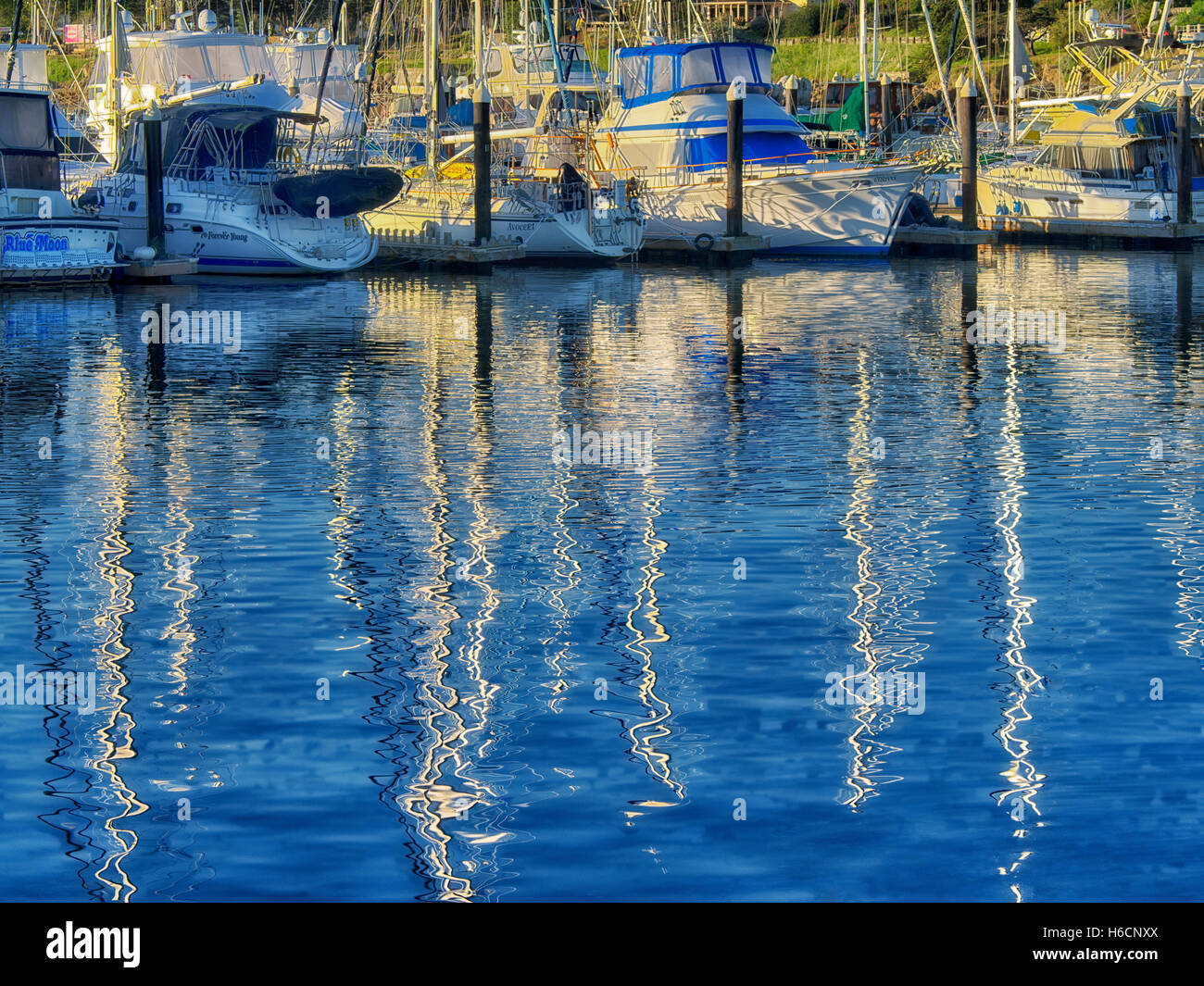 Reflektierte Segeln Masten und Boote bei Monterey Hafen und Marina, Kalifornien Stockfoto