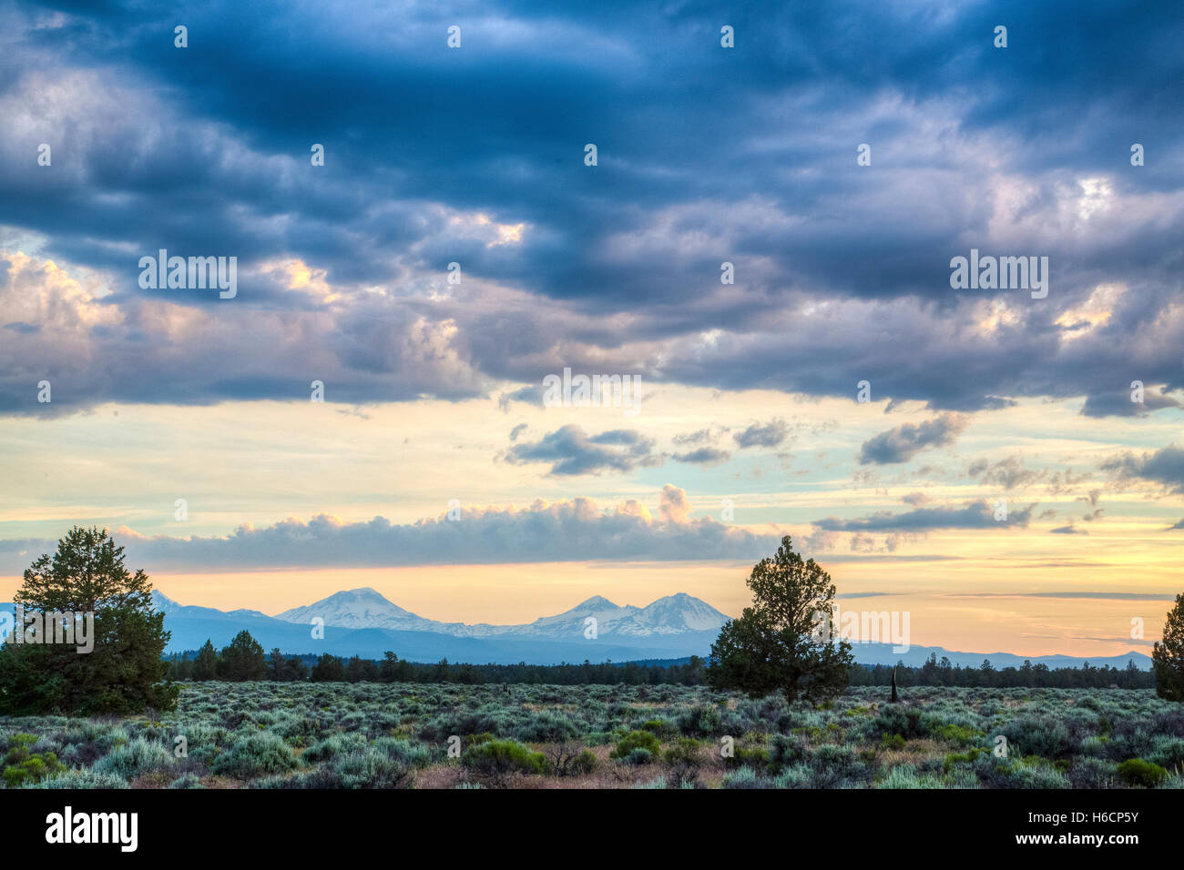 Eine lange Strecke von Wiesen sitzen vor den schroffen Schluchten Cline Buttes Recreation Area 7. Juni 2016 in der Nähe von Prineville, Oregon. Stockfoto