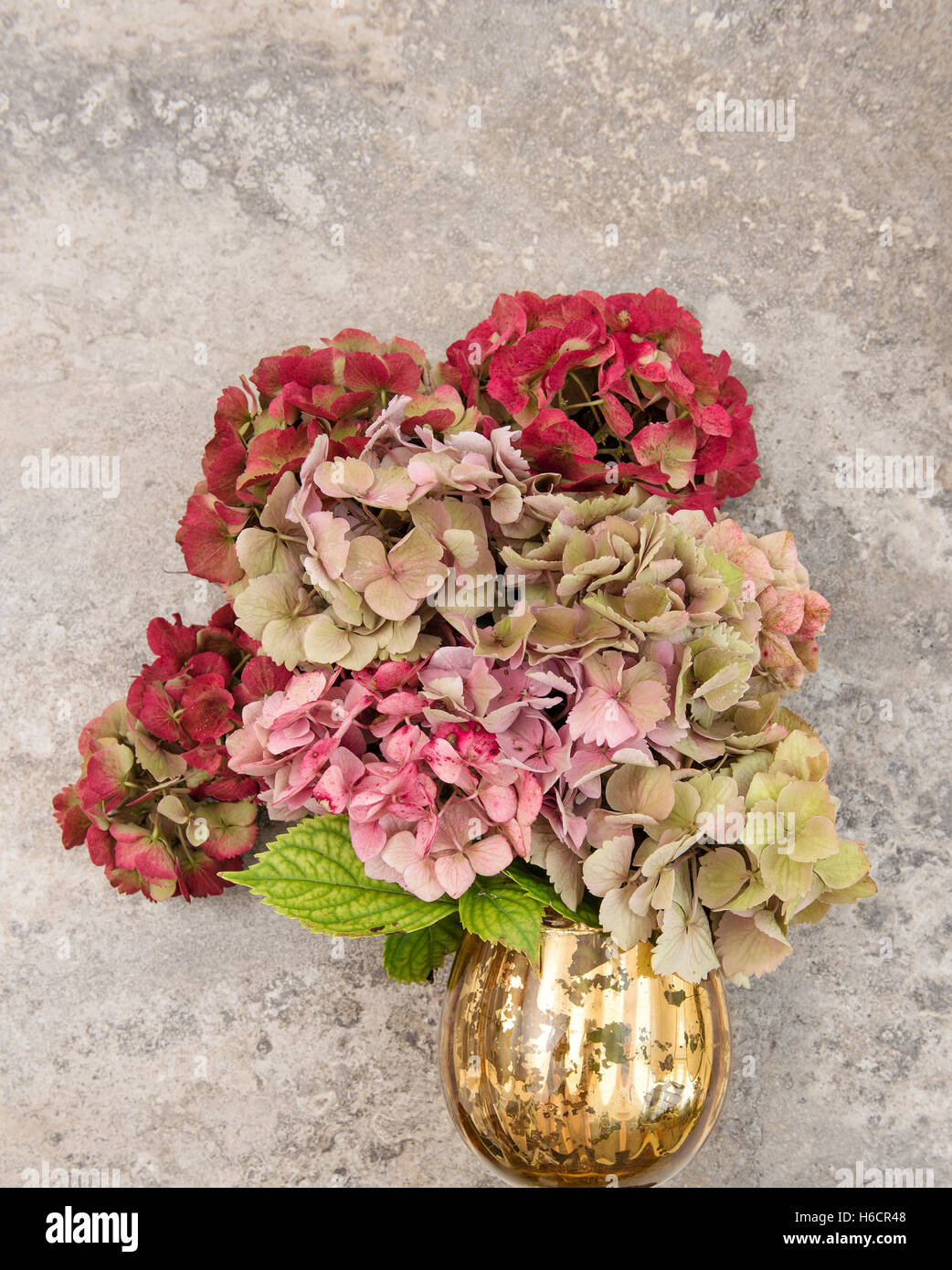 Schöne Hortensia Blumen Blumenstrauß über grangy Stein Hintergrund Stockfoto