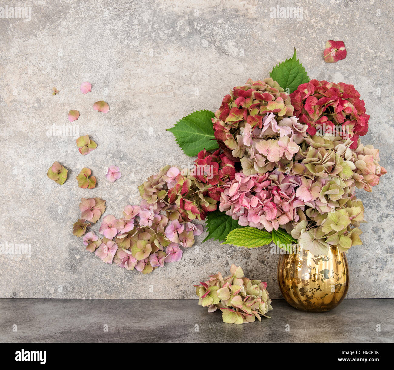 Hortensia Blumen Blumenstrauß über Grunge Stein Hintergrund Stockfoto