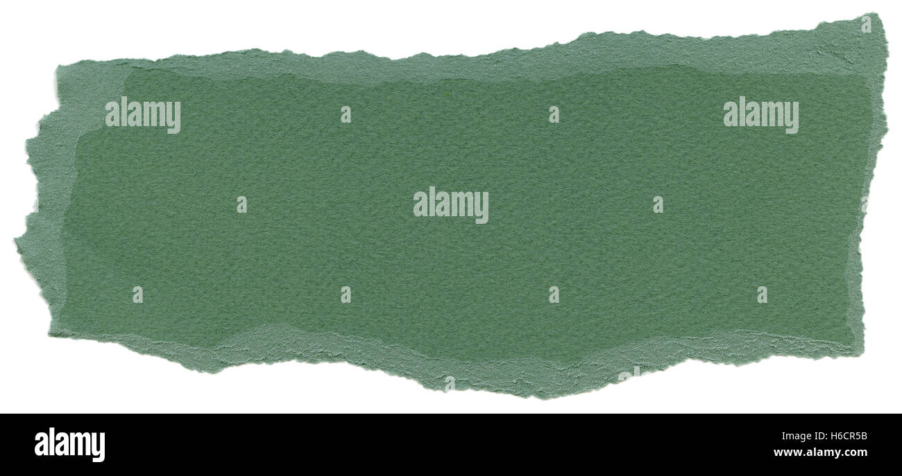 Textur der Farn grün Faserpapier mit zerrissenen Kanten. Isoliert auf weißem Hintergrund. Mit 1600dpi mit einem professionellen Scanner gescannt Stockfoto