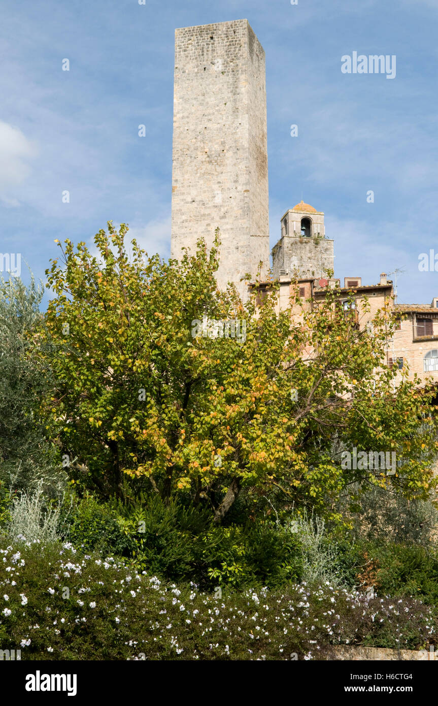 Wohntürme und Dynastie Türme von San Gimignano, UNESCO-Weltkulturerbe, Toskana, Italien, Europa Stockfoto