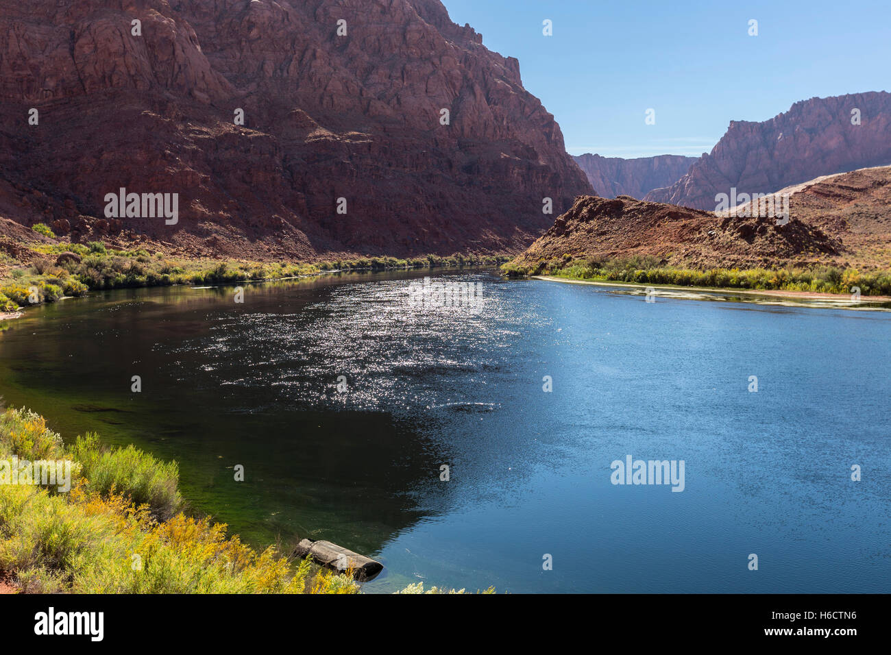 Colorado River in der Nähe von Lees Ferry bei Glen Canyon National Recreation Area im nördlichen Arizona. Stockfoto