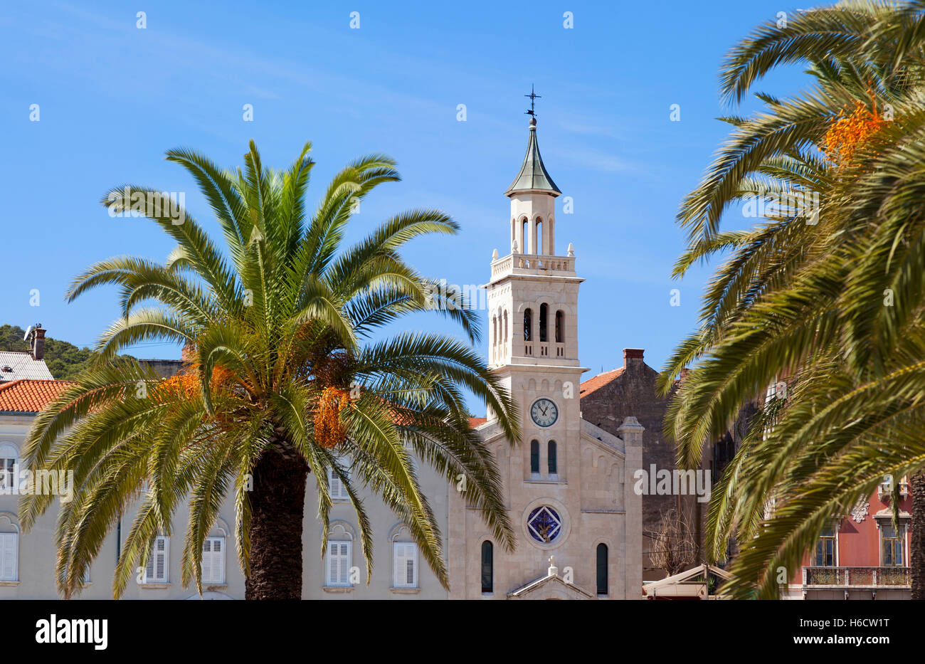 Kirche und Franziskanerkloster des Hl. Franziskus, Split, Kroatien. Phoenix Dactylifera, Dattelpalmen im Vordergrund. Stockfoto