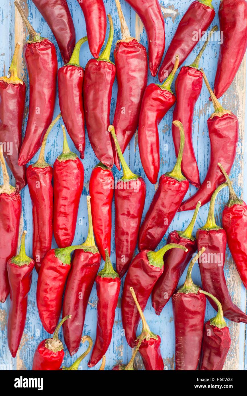 Rote Chilis trocknen. Stockfoto