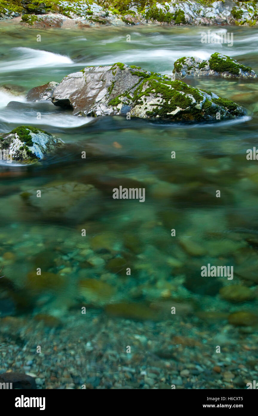 Wenig Norden Gabel Santiam River State Scenic Wasserstraße, Opal Creek malerischen Erholungsgebiet, Willamette National Forest, Oregon Stockfoto