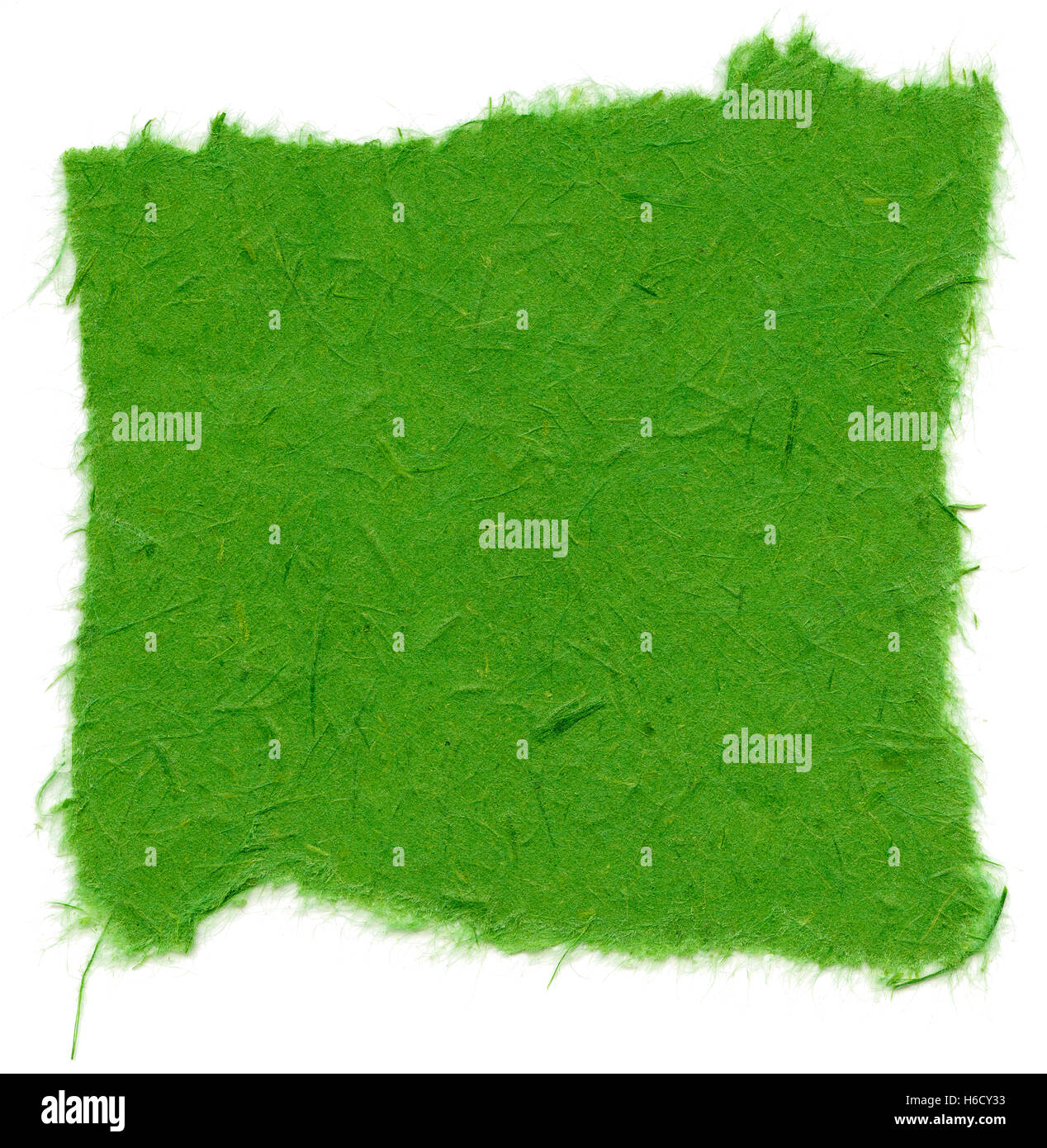 Beschaffenheit von Indien grün Reispapier mit zerrissenen Kanten. Isoliert auf weißem Hintergrund. Bei 2400dpi mit einem professionellen Scanner gescannt Stockfoto