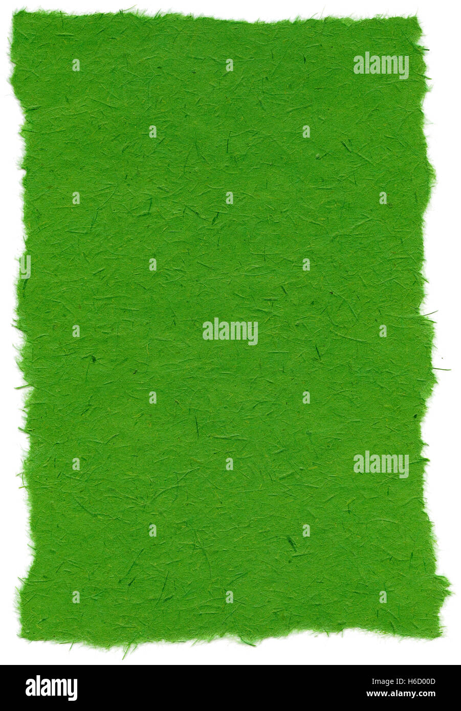 Beschaffenheit von Indien grün Reispapier mit zerrissenen Kanten. Isoliert auf weißem Hintergrund. Bei 1200dpi mit einem professionellen Scanner gescannt Stockfoto