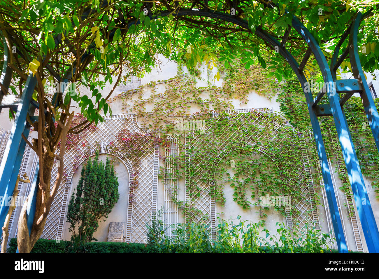 Kletter Pflanze Bogen mit Blick auf eine Wand mit Vintage-Stil unterstützt bedeckt mit Ranken Klettern Stockfoto