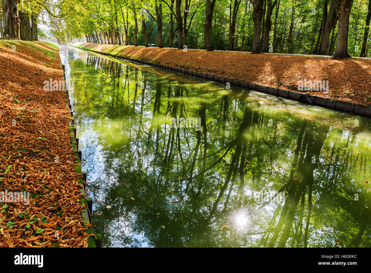 ruhigen Park Szene mit Canal im Herbst, reflektieren die Bäume im Wasser des Kanals Stockfoto