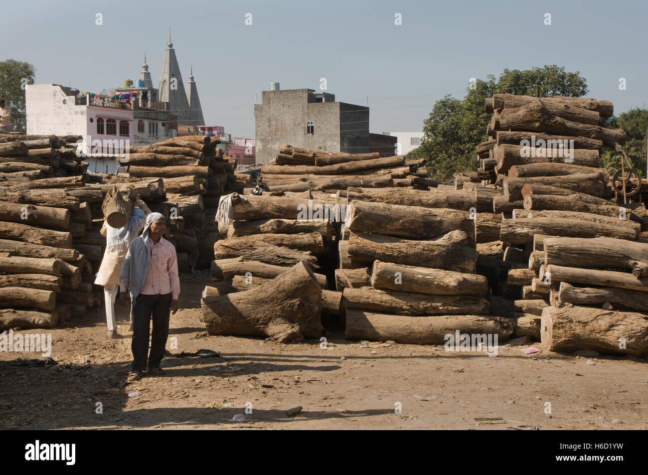 Indien, Uttarakhand, Jaspur, Holzplatz mit Teak und Mahagoni logs Stockfoto