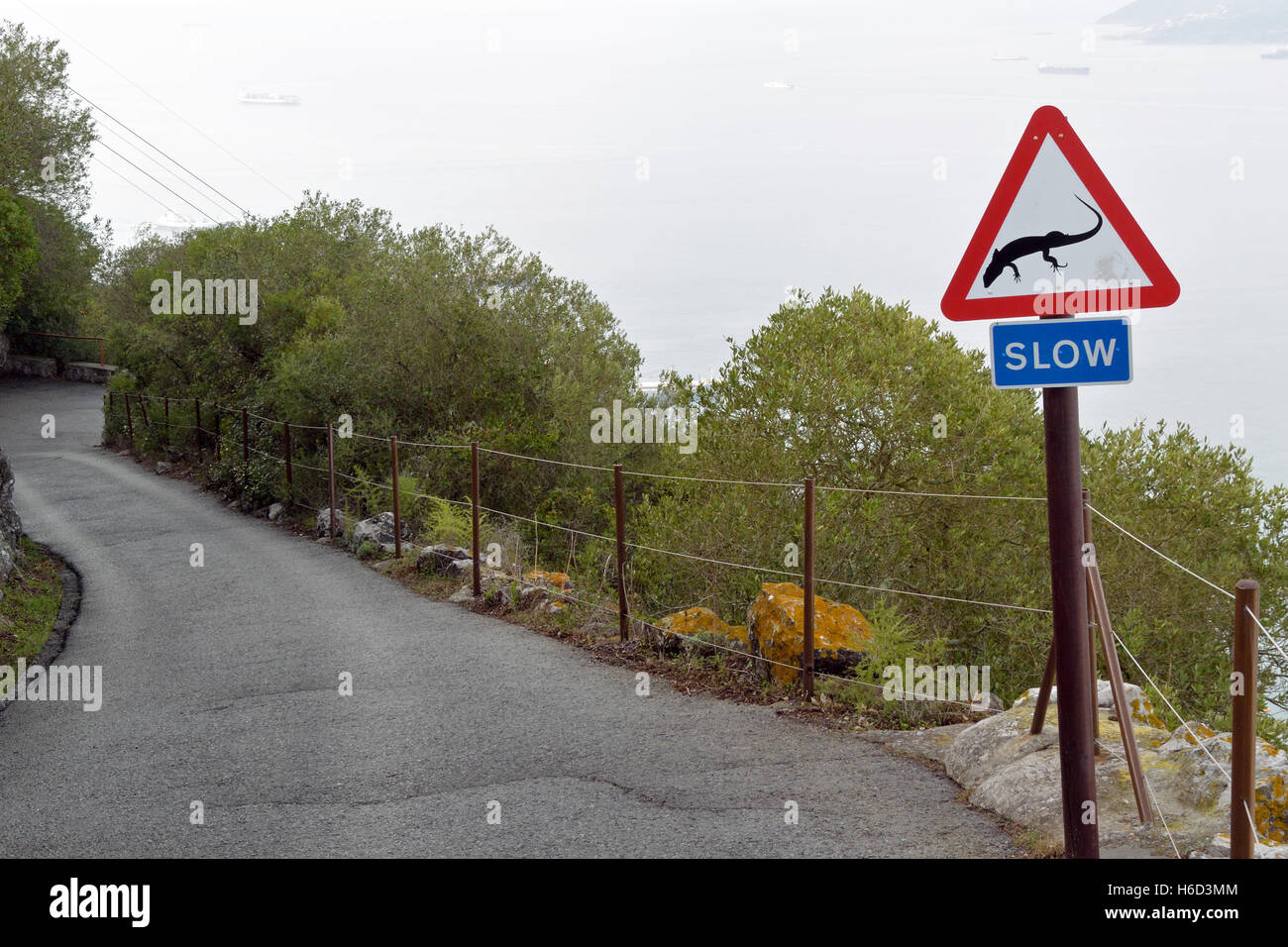 Langsame Straßenschild in Gibraltar Upper Rock Naturschutzgebiet warnt Autofahrer aufpassen, für Eidechsen Stockfoto