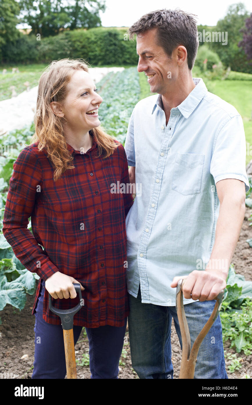 Porträt des Paares, die Arbeiten im Bereich der Bio-Bauernhof Stockfoto