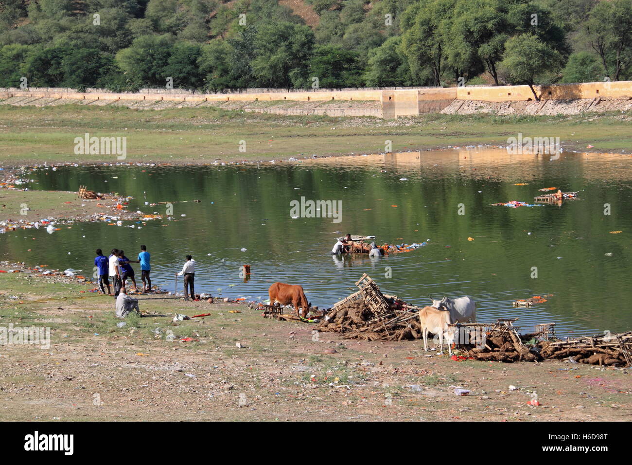 Bereinigung Dussehra feiern, Maota See, Amer, Jaipur, Rajasthan, Indien, indischer Subkontinent, Südasien Stockfoto